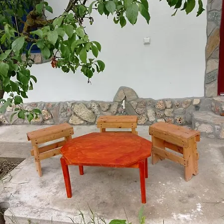 Guest house La Actoru'